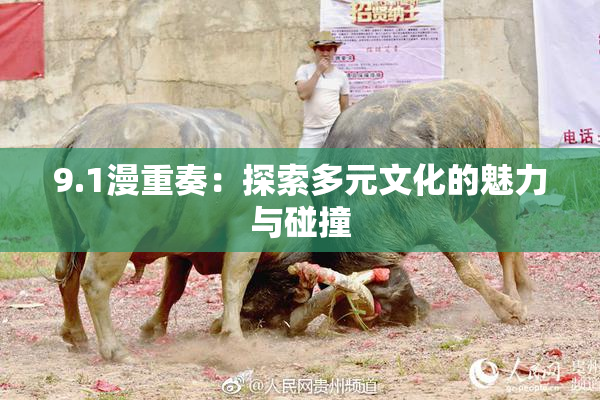 9.1漫重奏：探索多元文化的魅力与碰撞