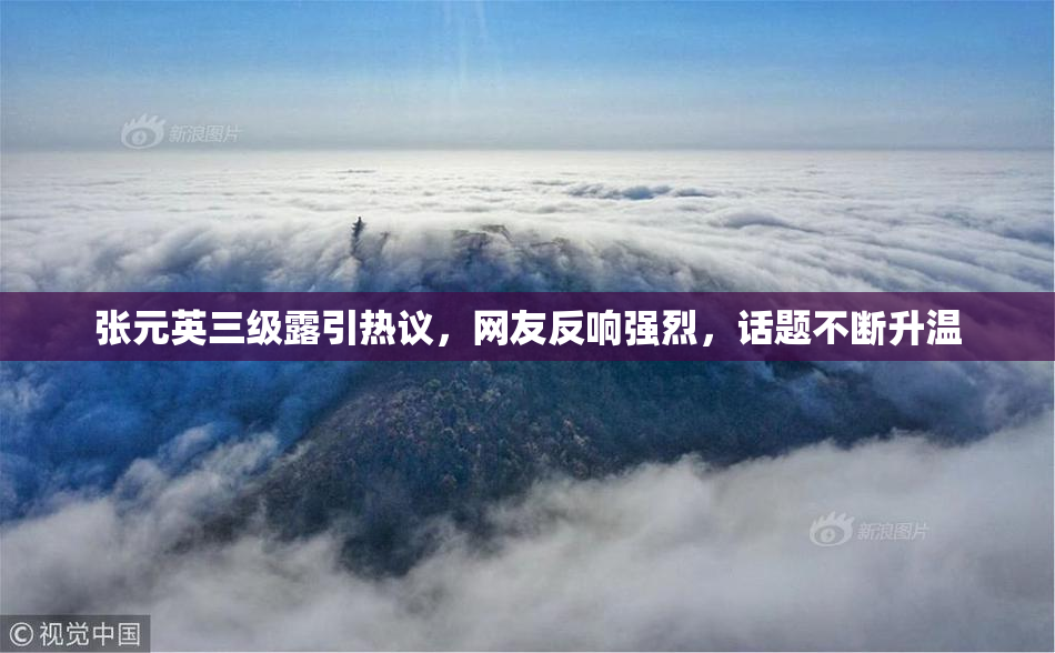 张元英三级露引热议，网友反响强烈，话题不断升温