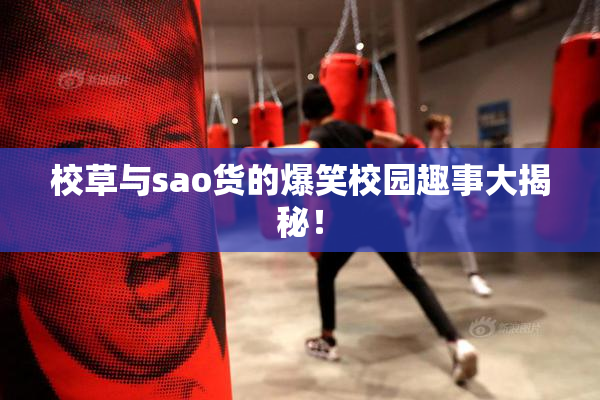 校草与sao货的爆笑校园趣事大揭秘！