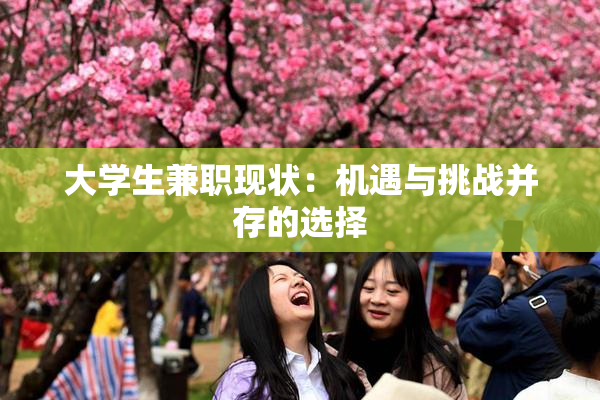 大学生兼职现状：机遇与挑战并存的选择