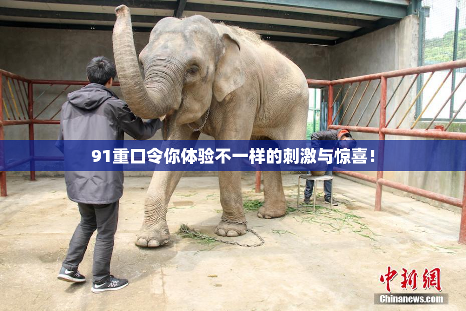 91重口令你体验不一样的刺激与惊喜！