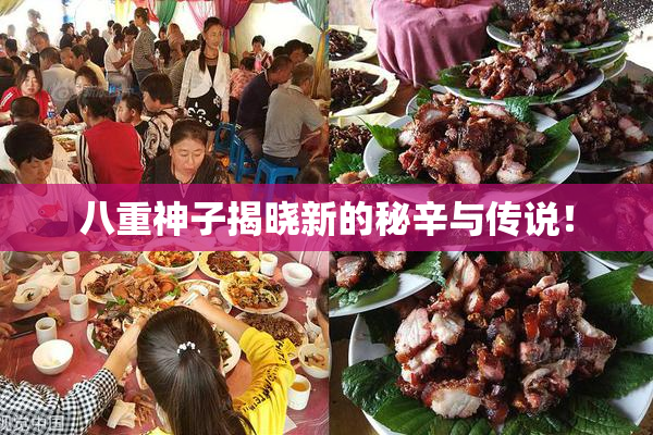 八重神子揭晓新的秘辛与传说！