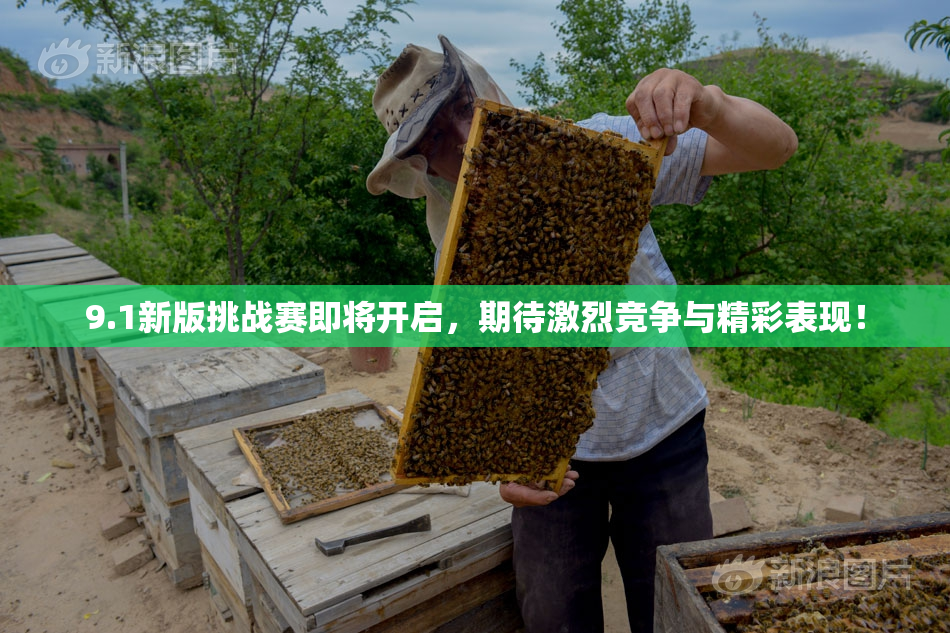 9.1新版挑战赛即将开启，期待激烈竞争与精彩表现！