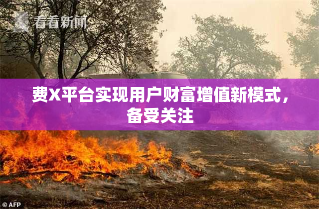 费X平台实现用户财富增值新模式，备受关注