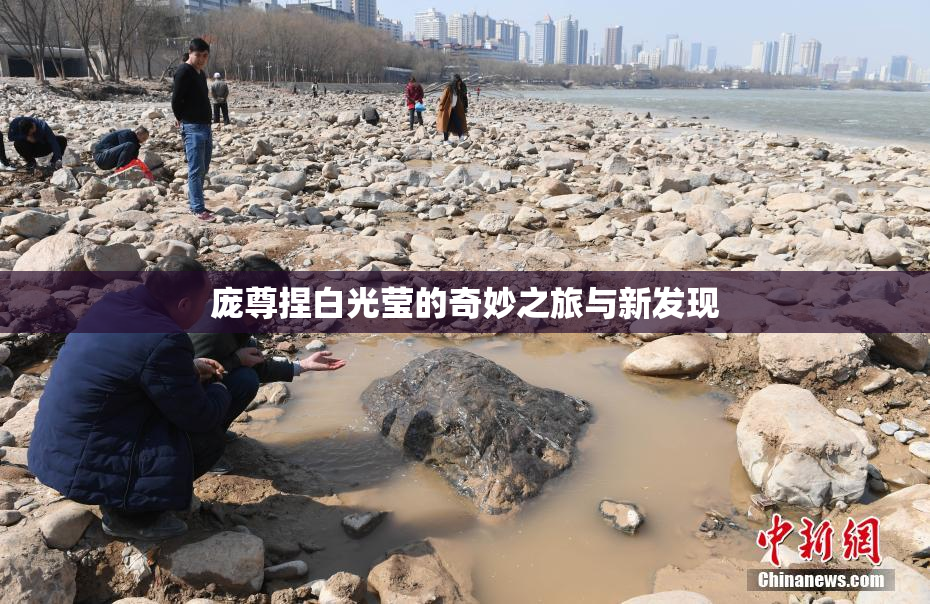 庞尊捏白光莹的奇妙之旅与新发现