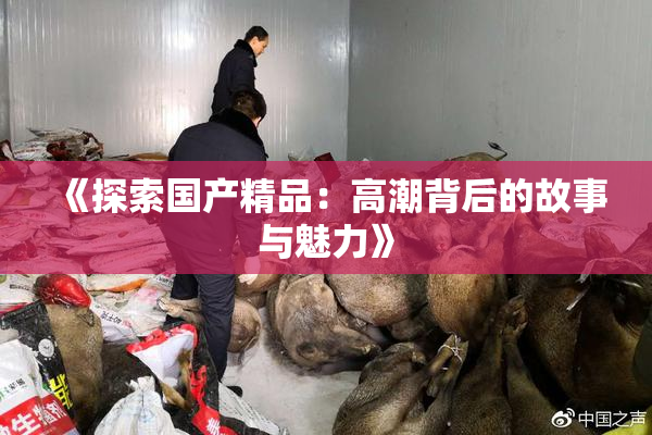 《探索国产精品：高潮背后的故事与魅力》