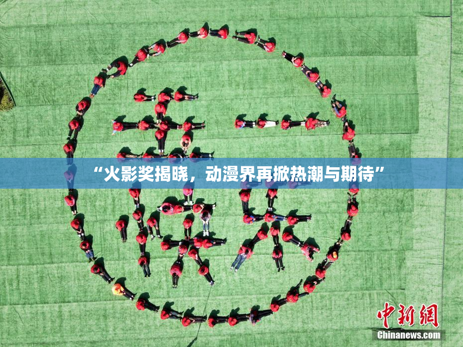 “火影奖揭晓，动漫界再掀热潮与期待”
