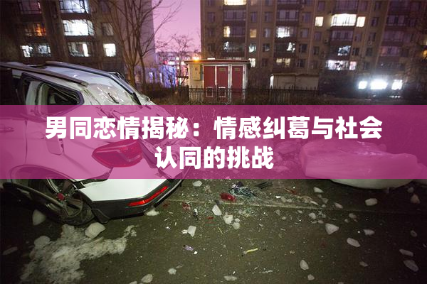 男同恋情揭秘：情感纠葛与社会认同的挑战