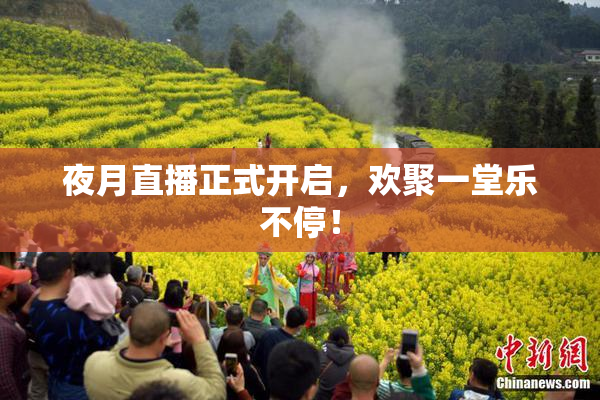 夜月直播正式开启，欢聚一堂乐不停！