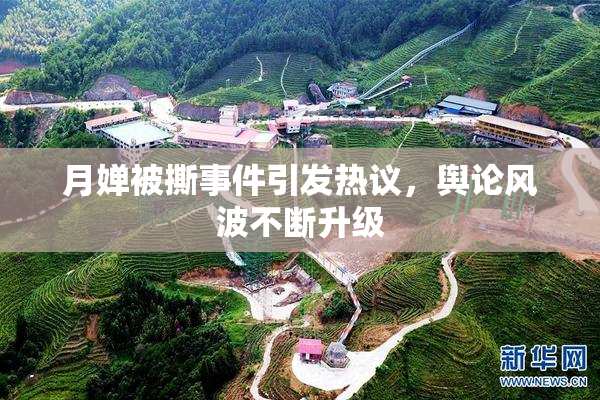 月婵被撕事件引发热议，舆论风波不断升级