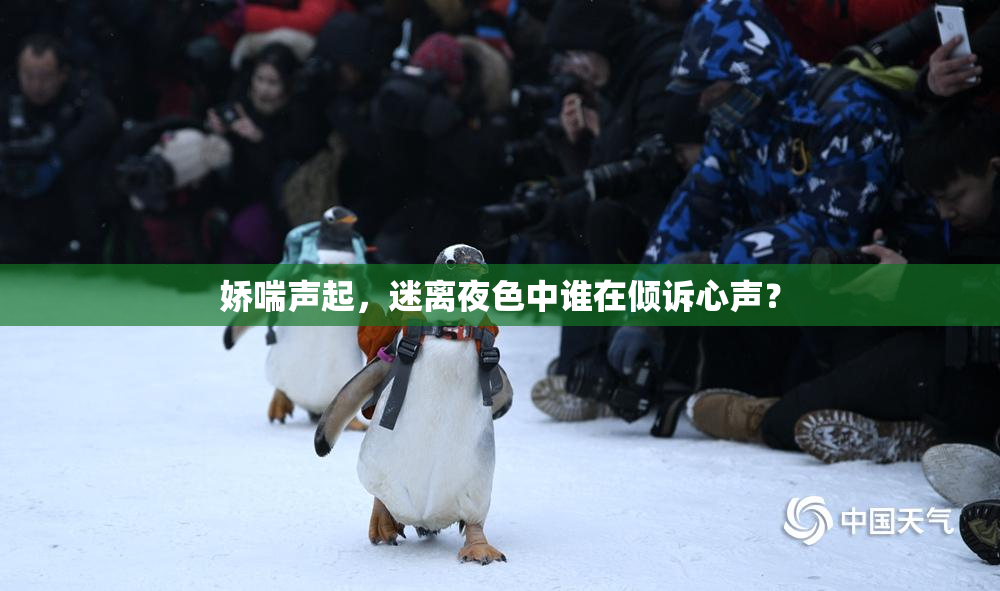娇喘声起，迷离夜色中谁在倾诉心声？