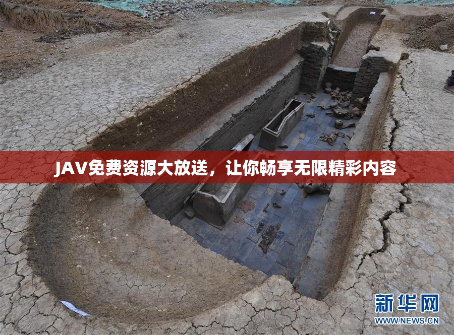 JAV免费资源大放送，让你畅享无限精彩内容