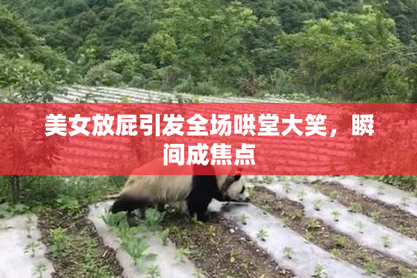 美女放屁引发全场哄堂大笑，瞬间成焦点