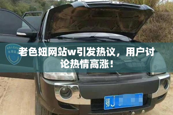 老色妞网站w引发热议，用户讨论热情高涨！