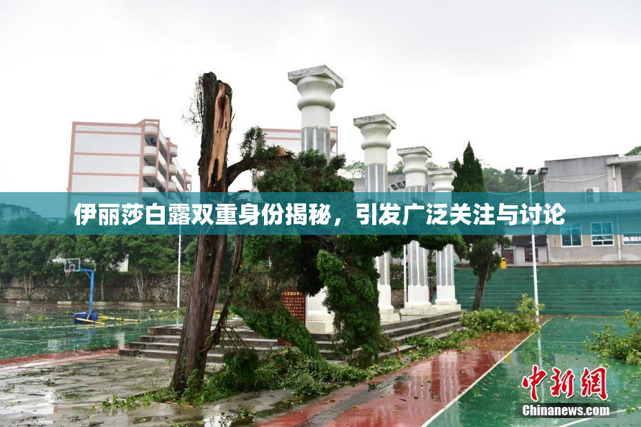 伊丽莎白露双重身份揭秘，引发广泛关注与讨论