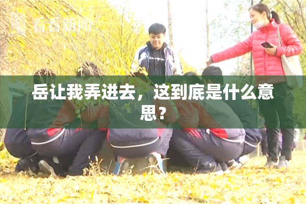 岳让我弄进去，这到底是什么意思？