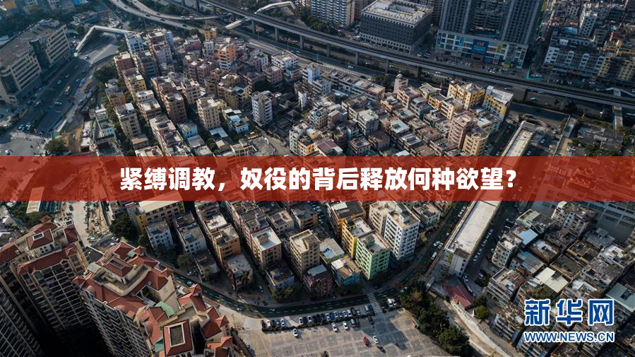 紧缚调教，奴役的背后释放何种欲望？