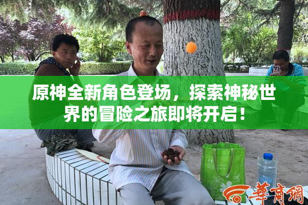原神全新角色登场，探索神秘世界的冒险之旅即将开启！