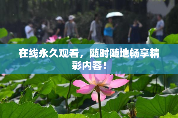 在线永久观看，随时随地畅享精彩内容！