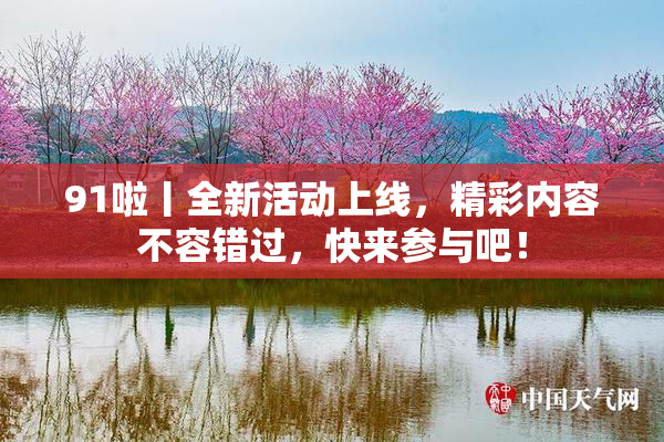 91啦丨全新活动上线，精彩内容不容错过，快来参与吧！
