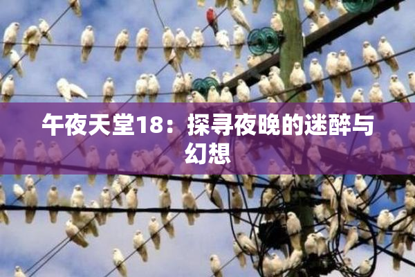 午夜天堂18：探寻夜晚的迷醉与幻想