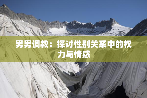 男男调教：探讨性别关系中的权力与情感