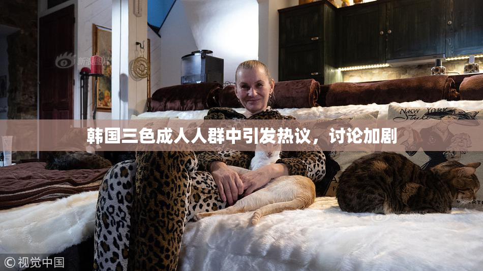 韩国三色成人人群中引发热议，讨论加剧