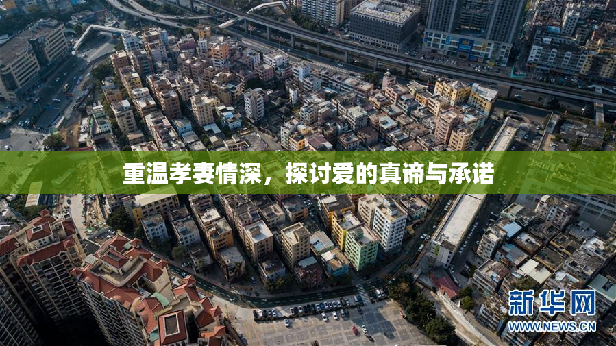 重温孝妻情深，探讨爱的真谛与承诺