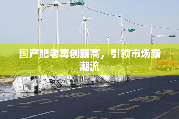 国产肥老再创新高，引领市场新潮流