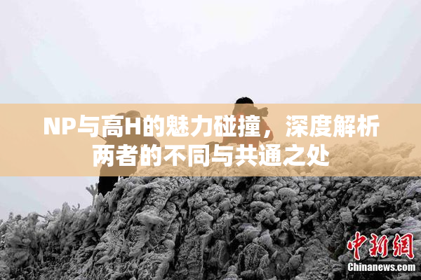 NP与高H的魅力碰撞，深度解析两者的不同与共通之处