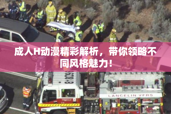 成人H动漫精彩解析，带你领略不同风格魅力！
