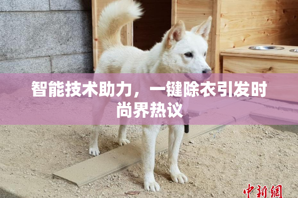 智能技术助力，一键除衣引发时尚界热议
