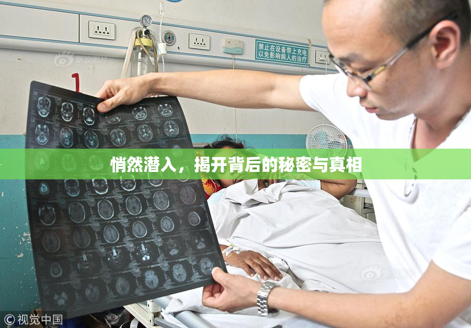 悄然潜入，揭开背后的秘密与真相