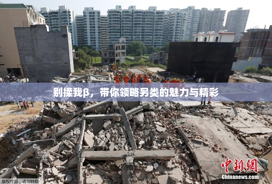 别揉我β，带你领略另类的魅力与精彩