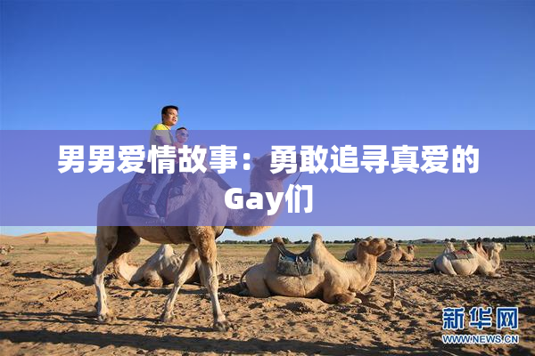 男男爱情故事：勇敢追寻真爱的Gay们