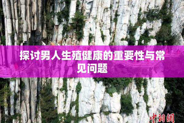 探讨男人生殖健康的重要性与常见问题