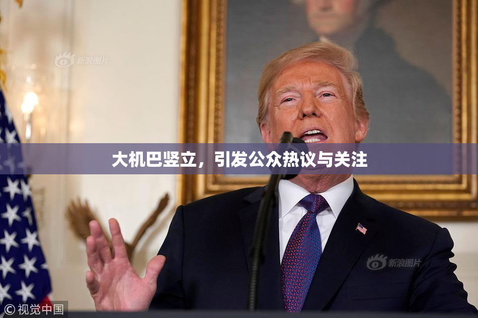 大机巴竖立，引发公众热议与关注