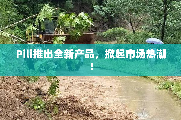 Pili推出全新产品，掀起市场热潮！
