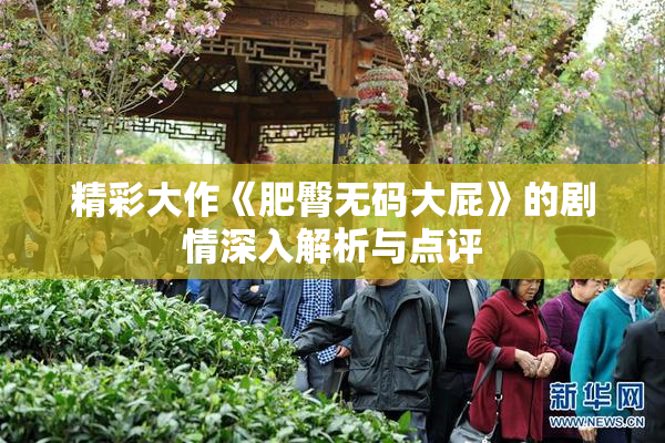 精彩大作《肥臀无码大屁》的剧情深入解析与点评