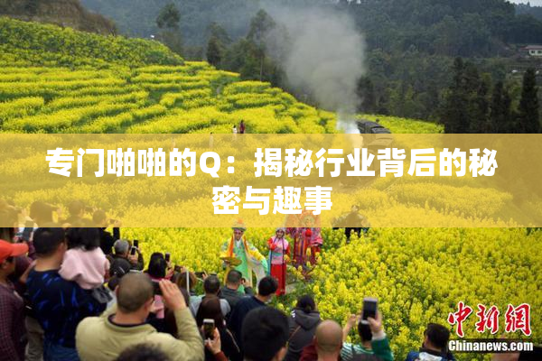专门啪啪的Q：揭秘行业背后的秘密与趣事