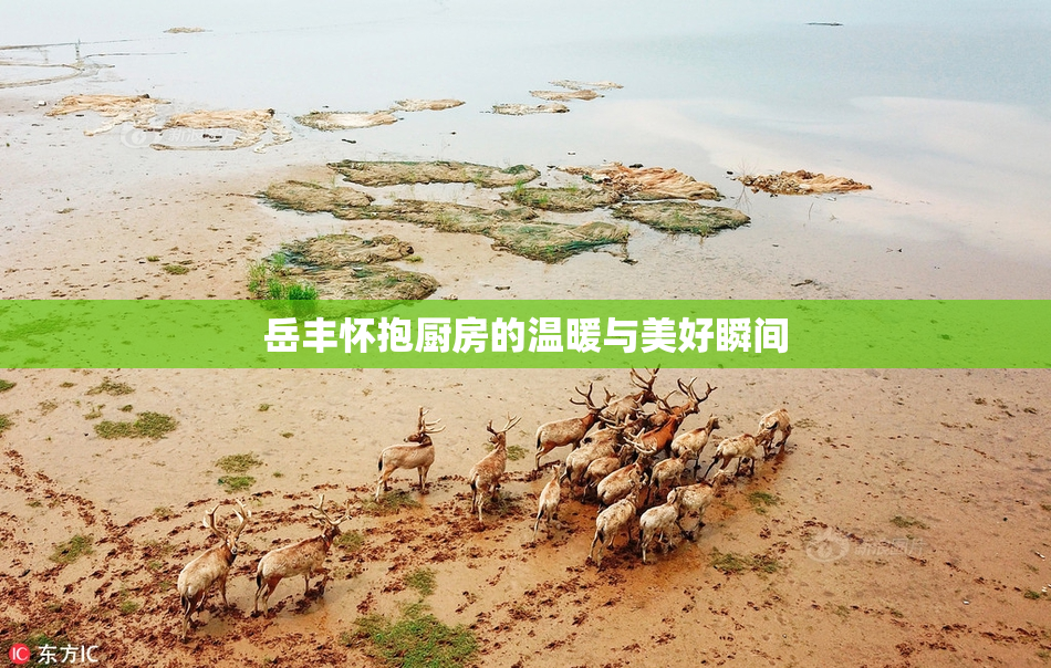 岳丰怀抱厨房的温暖与美好瞬间