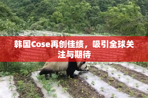 韩国Cose再创佳绩，吸引全球关注与期待