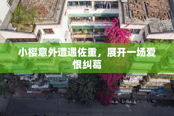 小樱意外遭遇佐重，展开一场爱恨纠葛