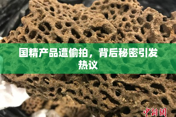 国精产品遭偷拍，背后秘密引发热议