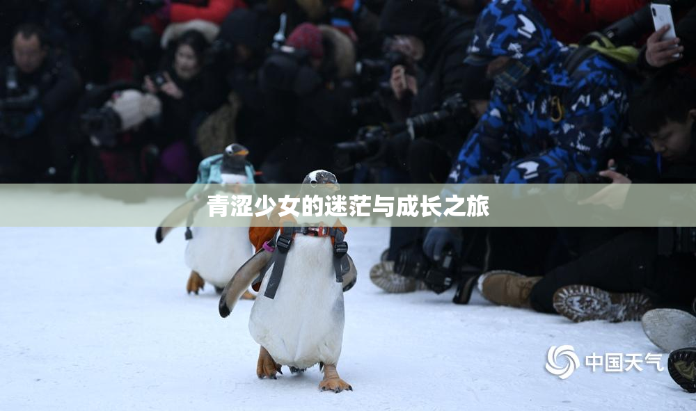 青涩少女的迷茫与成长之旅