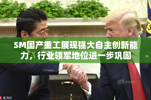 SM国产重工展现强大自主创新能力，行业领军地位进一步巩固