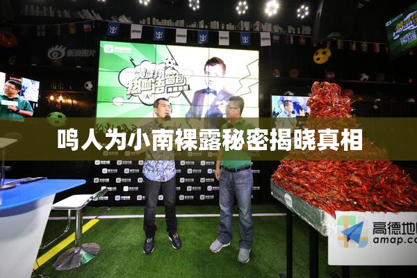 鸣人为小南裸露秘密揭晓真相