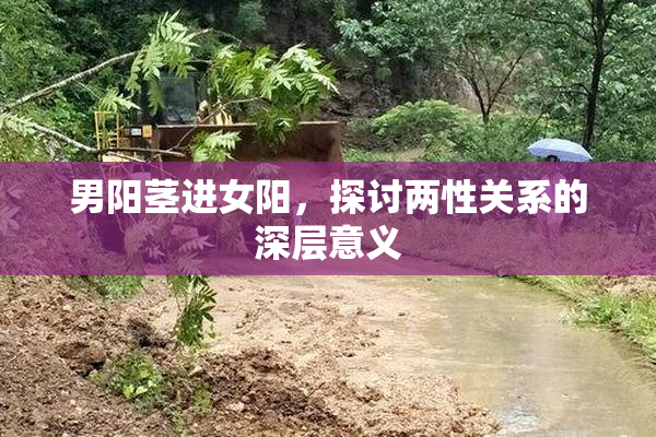 男阳茎进女阳，探讨两性关系的深层意义