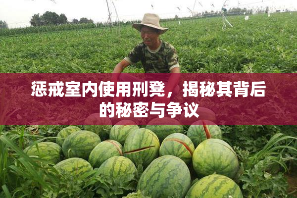 惩戒室内使用刑凳，揭秘其背后的秘密与争议