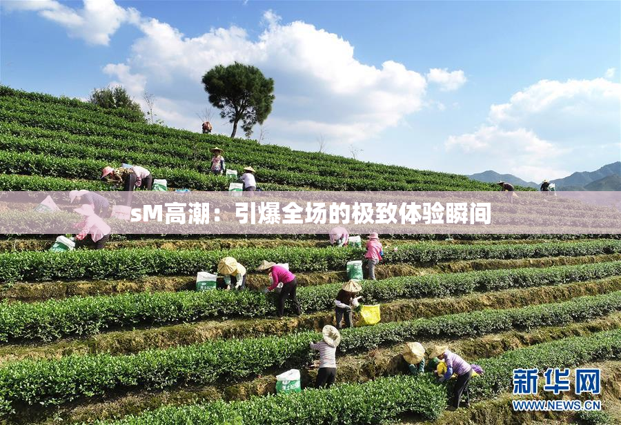 sM高潮：引爆全场的极致体验瞬间